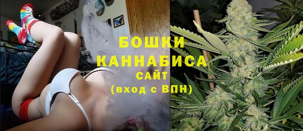 молекула духа Липки