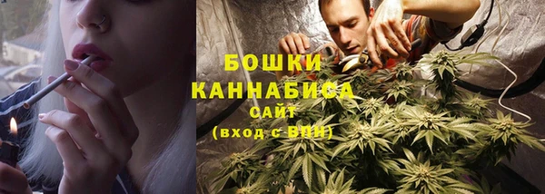 молекула духа Липки