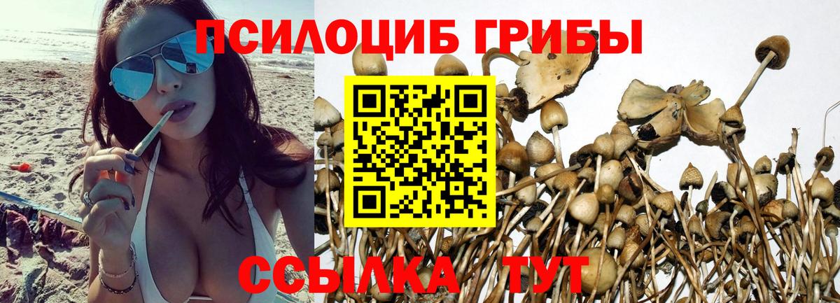 Галлюциногенные грибы мухоморы Сокол