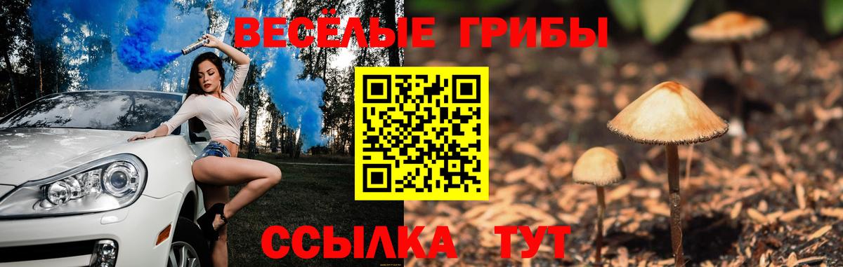 Галлюциногенные грибы мицелий  Вход с VPN  Сокол 